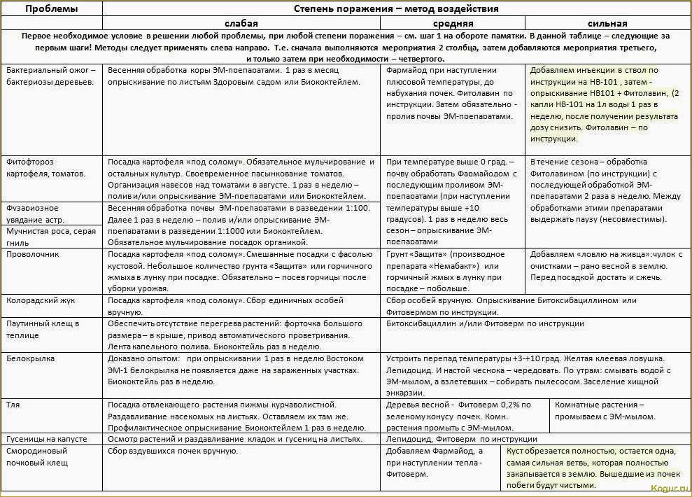 Как применять стимулятор роста «Проросток»