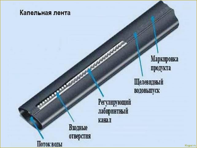 Разновидности и особенности конструкции ленты для капельного орошения: как выбрать правильно