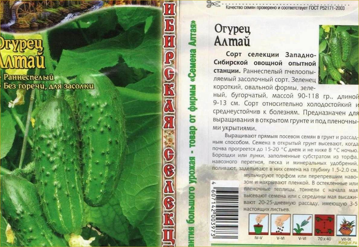 Лучшие сорта огурцов для Сибири