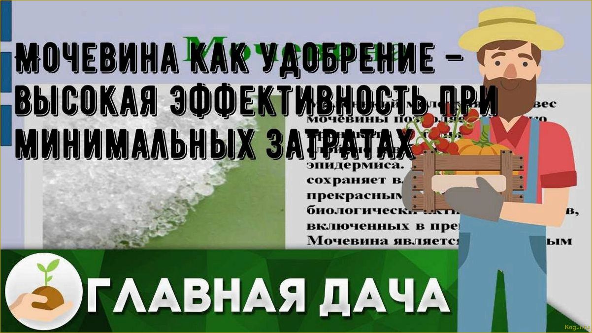 Мочевина как удобрение — высокая эффективность при минимальных затратах