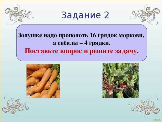 Как выращивать морковь и свеклу на одной грядке