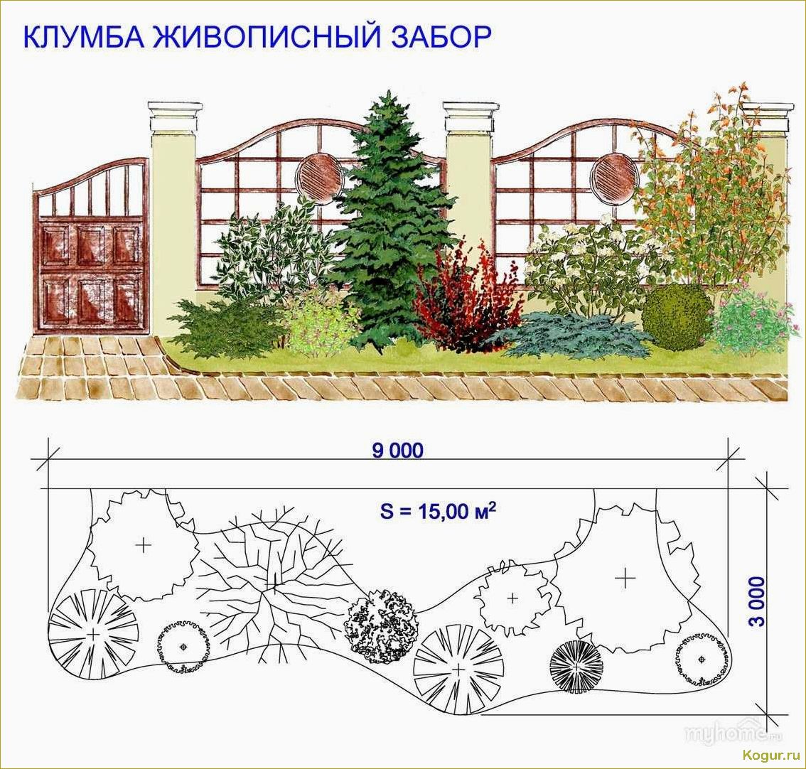 Оформление миксбордера вдоль забора: советы и рекомендации