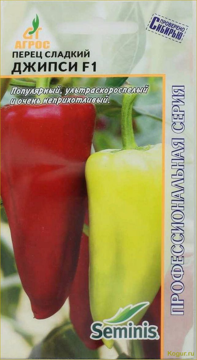 Перец болгарский Джипси — голландский гибрид для любителей полакомиться свежим урожаем раньше всех