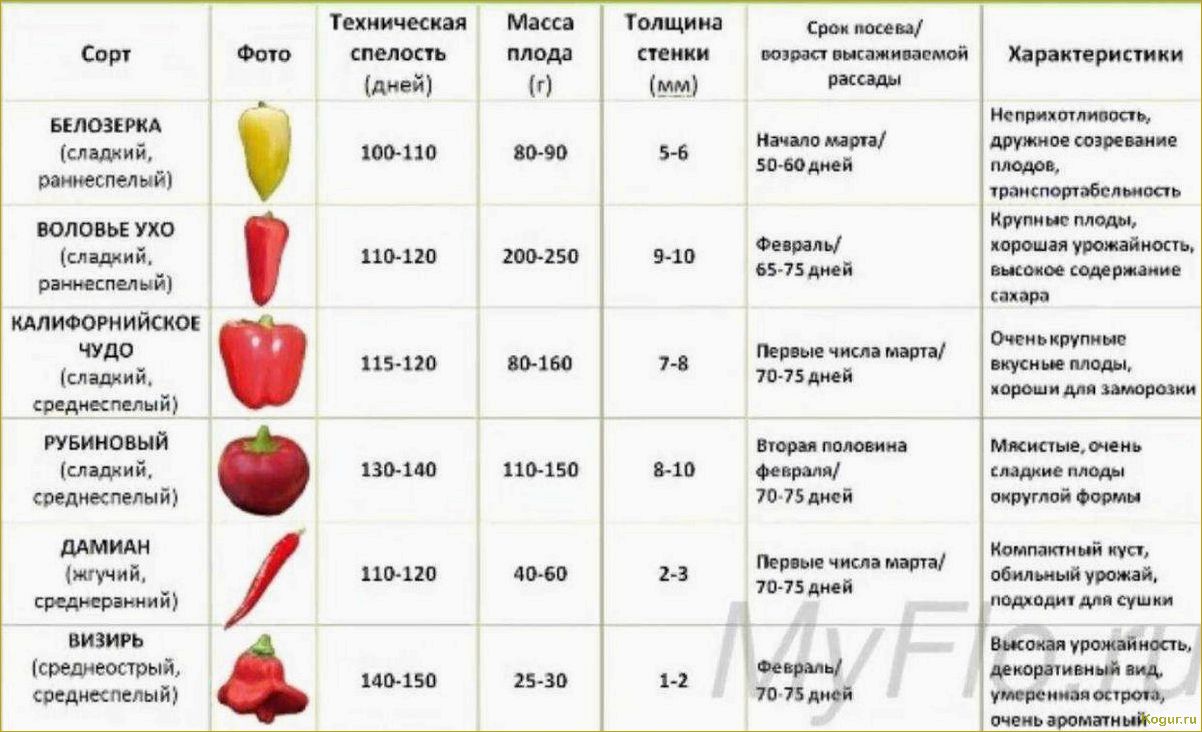 Перец болгарский Джипси — голландский гибрид для любителей полакомиться свежим урожаем раньше всех