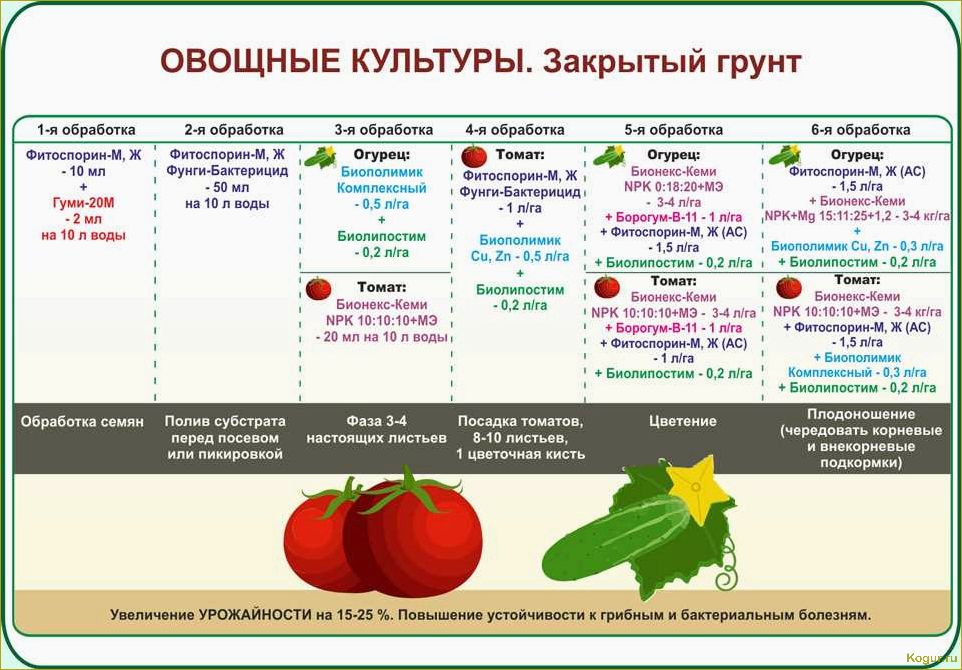 Метод Маслова для выращивания томатов