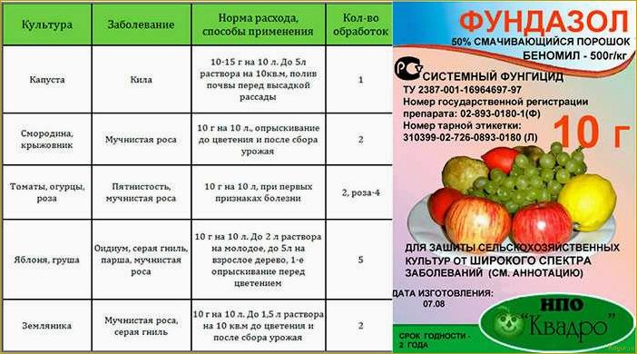 Как применять фунгицид Строби в саду и на грядках