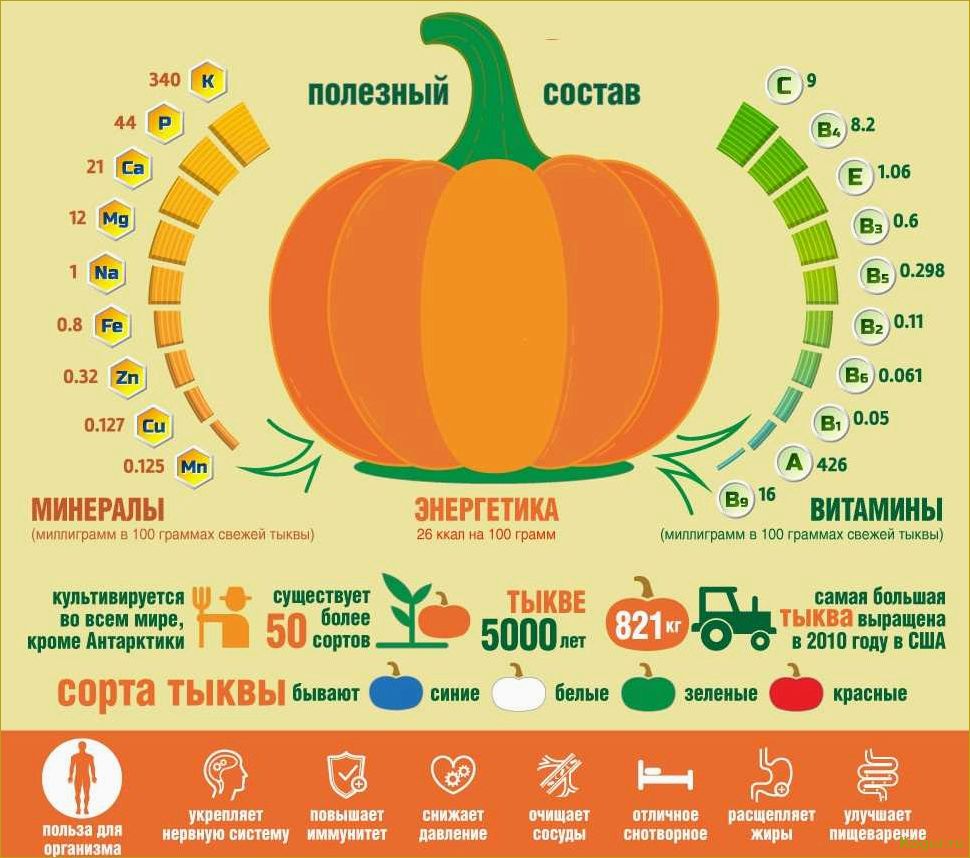 Польза тыквы для организма человека разных возрастных категорий