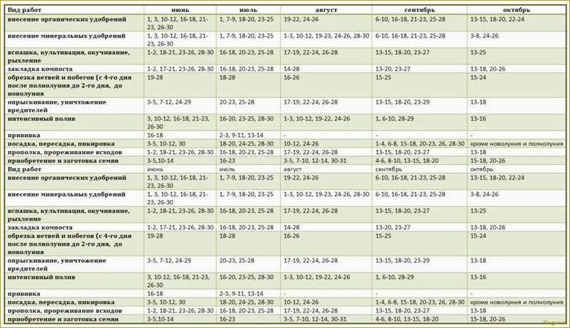 Майский календарь для дачника: основные работы на огороде весной