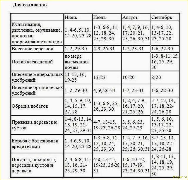 Майский календарь для дачника: основные работы на огороде весной