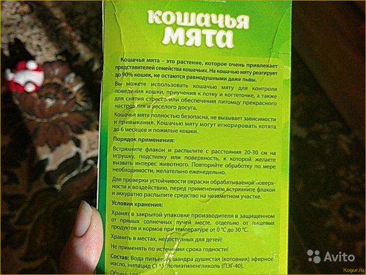 Кому и для чего нужна кошачья мята