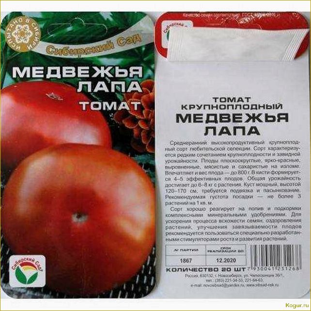 Неприхотливый сорт томата Петруша огородник для выращивания в любых климатических зонах