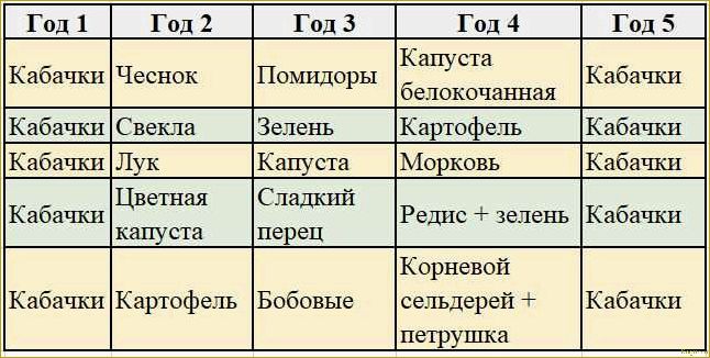 Основные принципы севооборота и рекомендации по посадке после свеклы