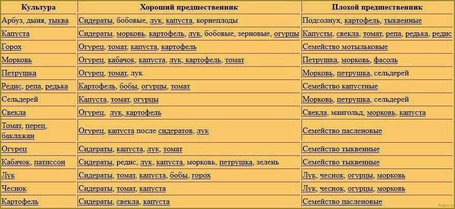 Основные принципы севооборота и рекомендации по посадке после свеклы