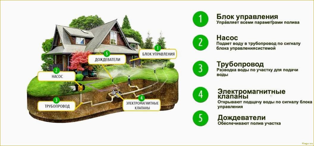 Особенности конструкции и монтажа системы полива газона