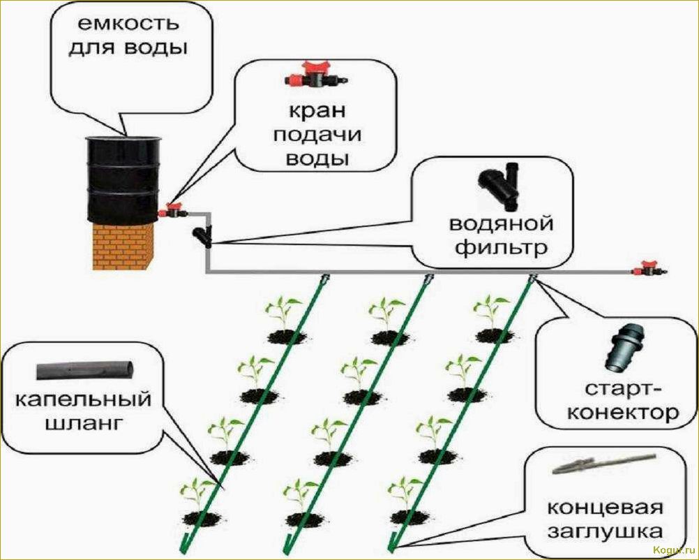 Особенности конструкции и монтажа системы полива газона