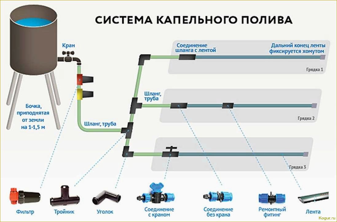 Особенности конструкции и монтажа системы полива газона