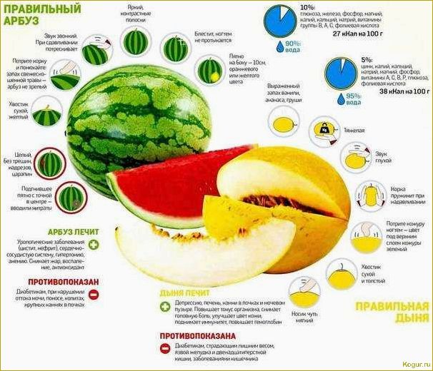 Почему и с чем нельзя есть дыню?