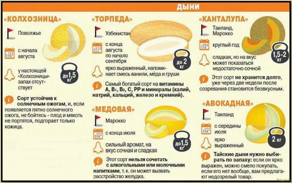 Почему и с чем нельзя есть дыню?