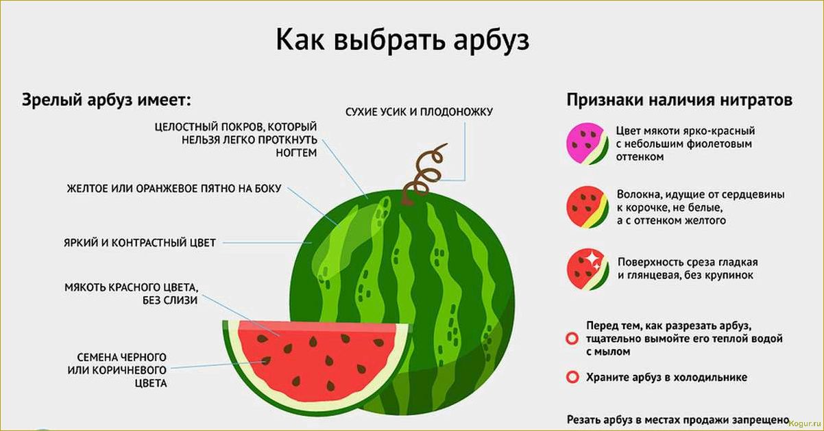 Польза арбузного сока для организма