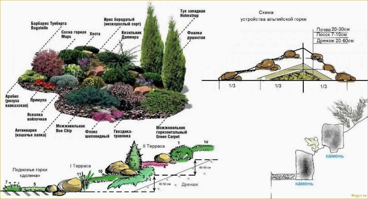 Секреты и рекомендации по устройству альпийской горки в саду