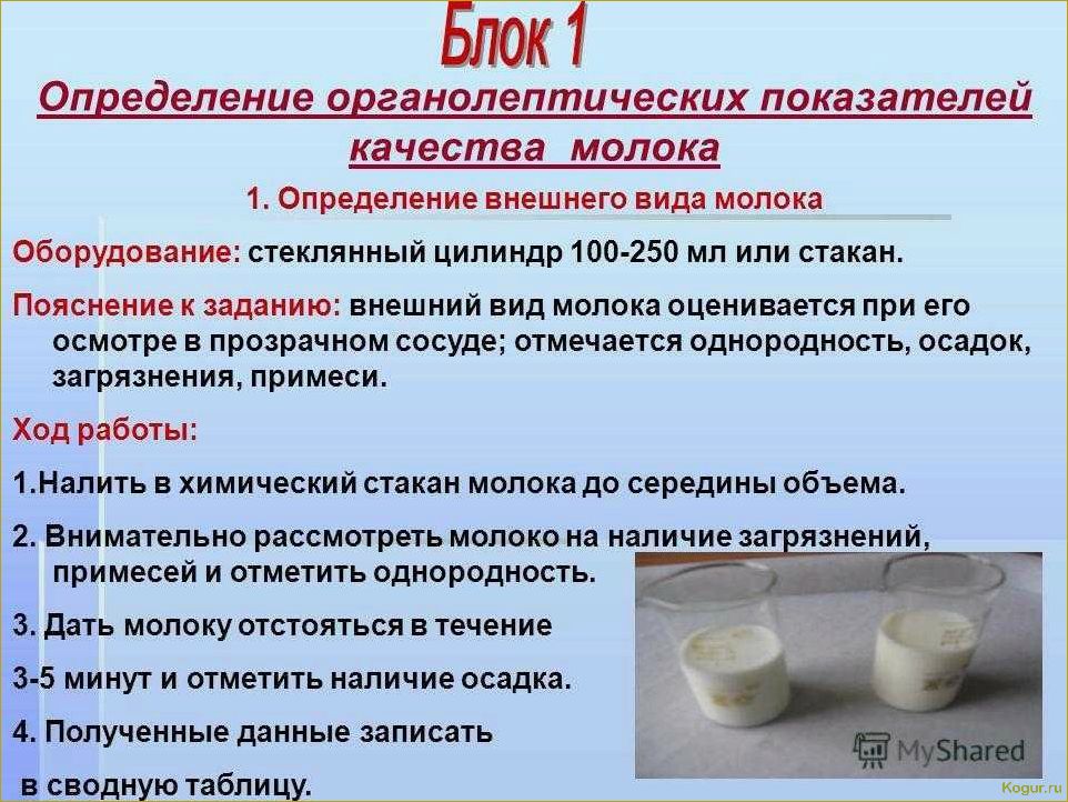 Три способа хранения молочного гриба без молока