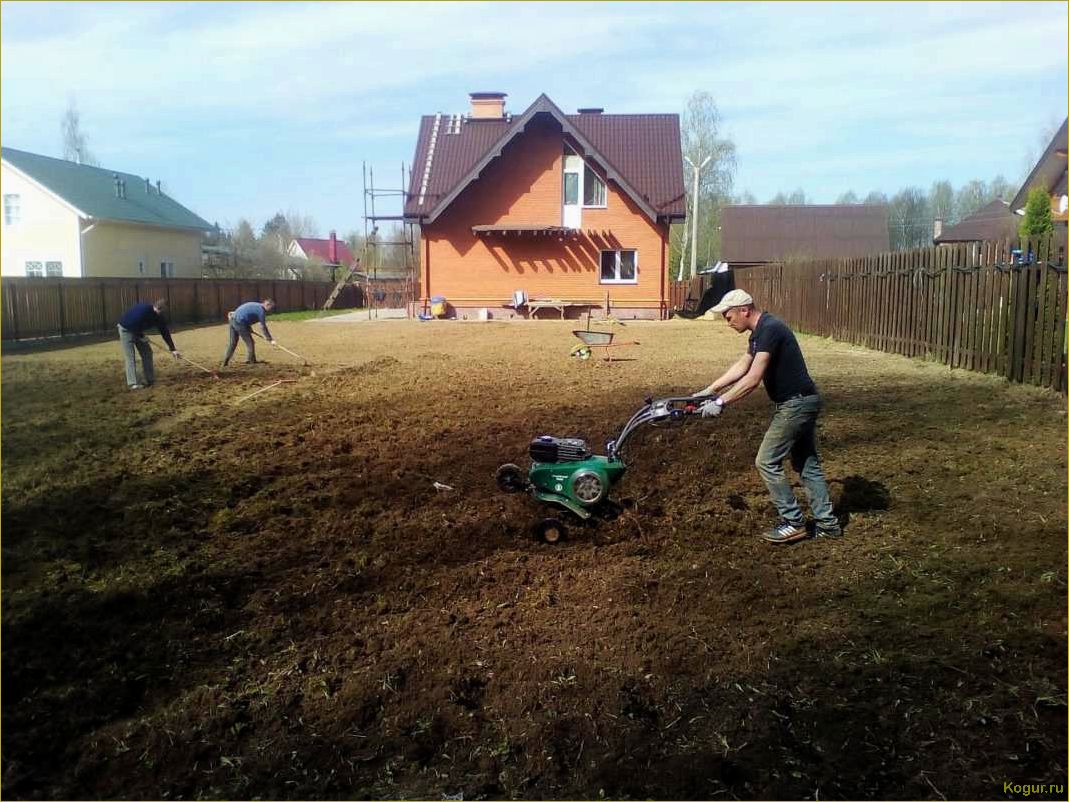 Как выровнять участок на даче, чтобы создать свой райский уголок