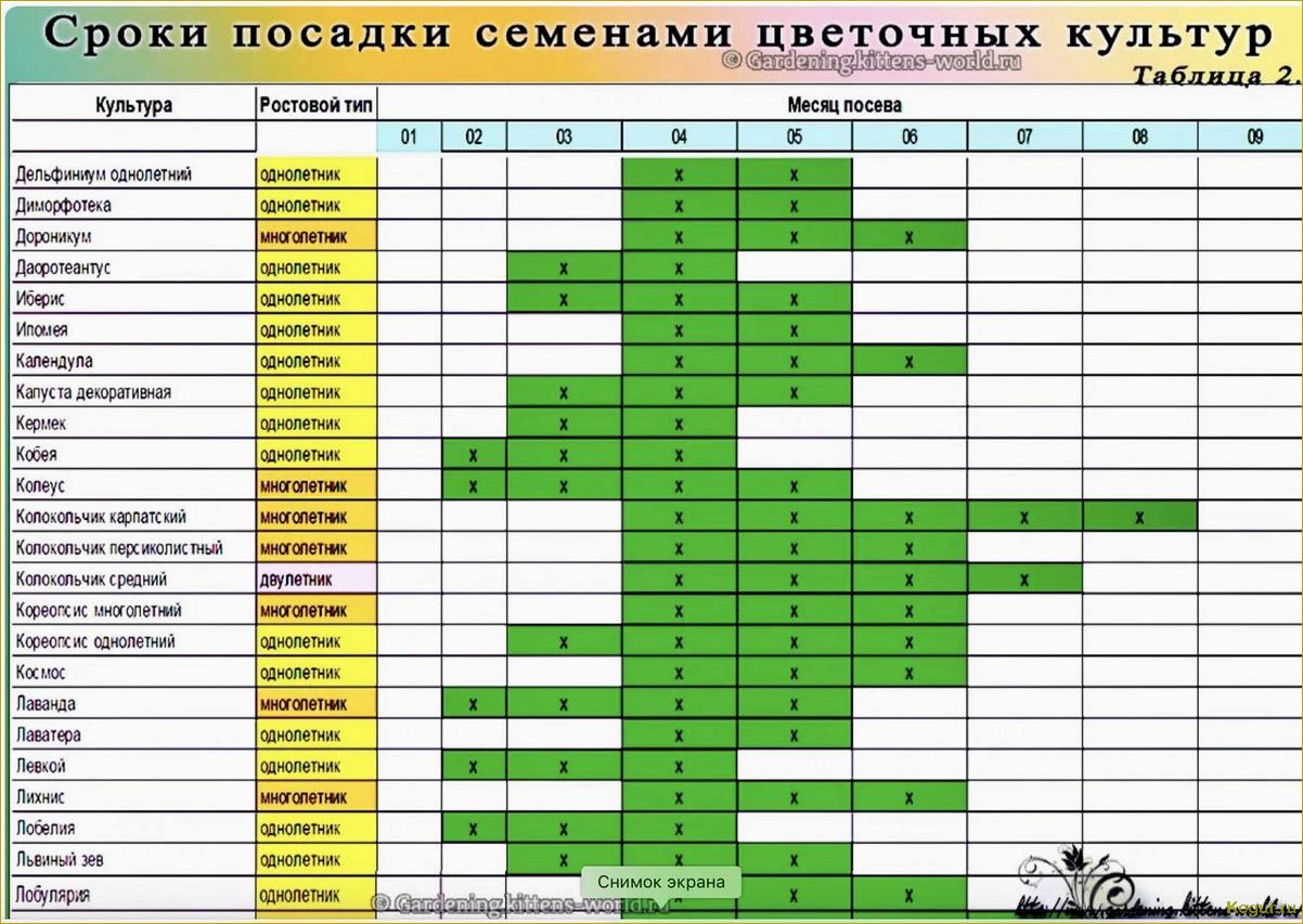 Июньский садовый календарь: какие работы нужно выполнить на даче в июне