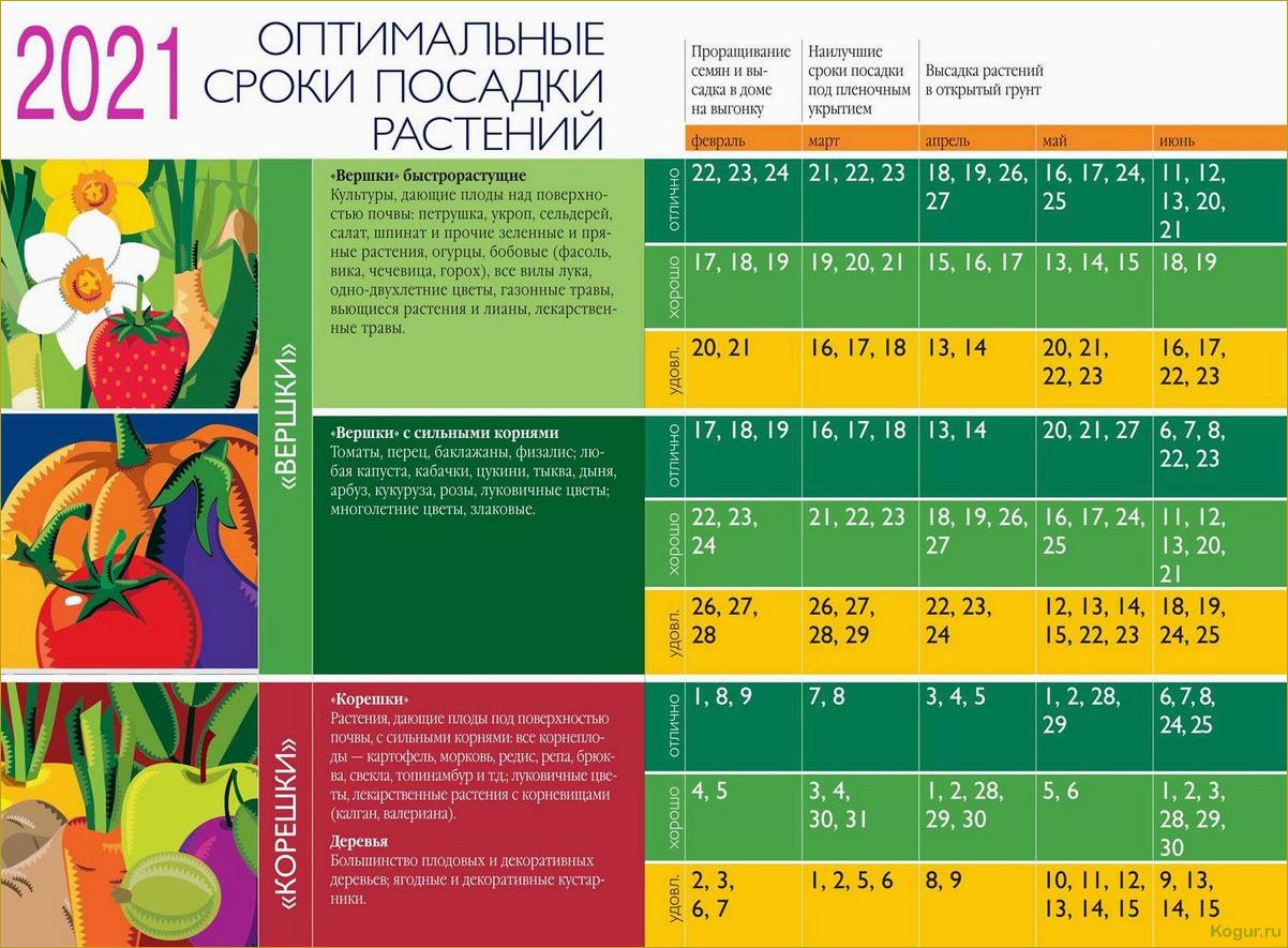 Июньский садовый календарь: какие работы нужно выполнить на даче в июне