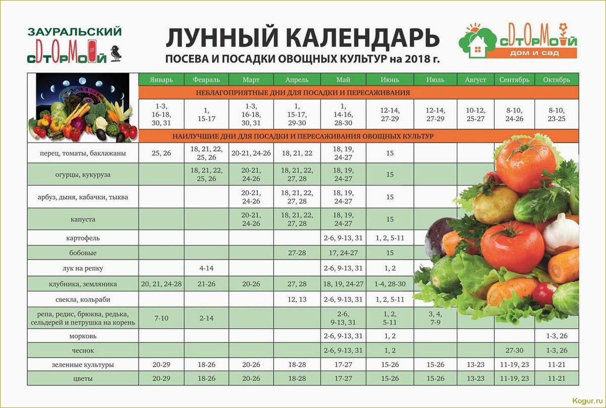 Июньский садовый календарь: какие работы нужно выполнить на даче в июне