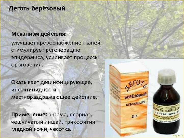 Применение березового дегтя в саду и огороде: полезные свойства и способы использования