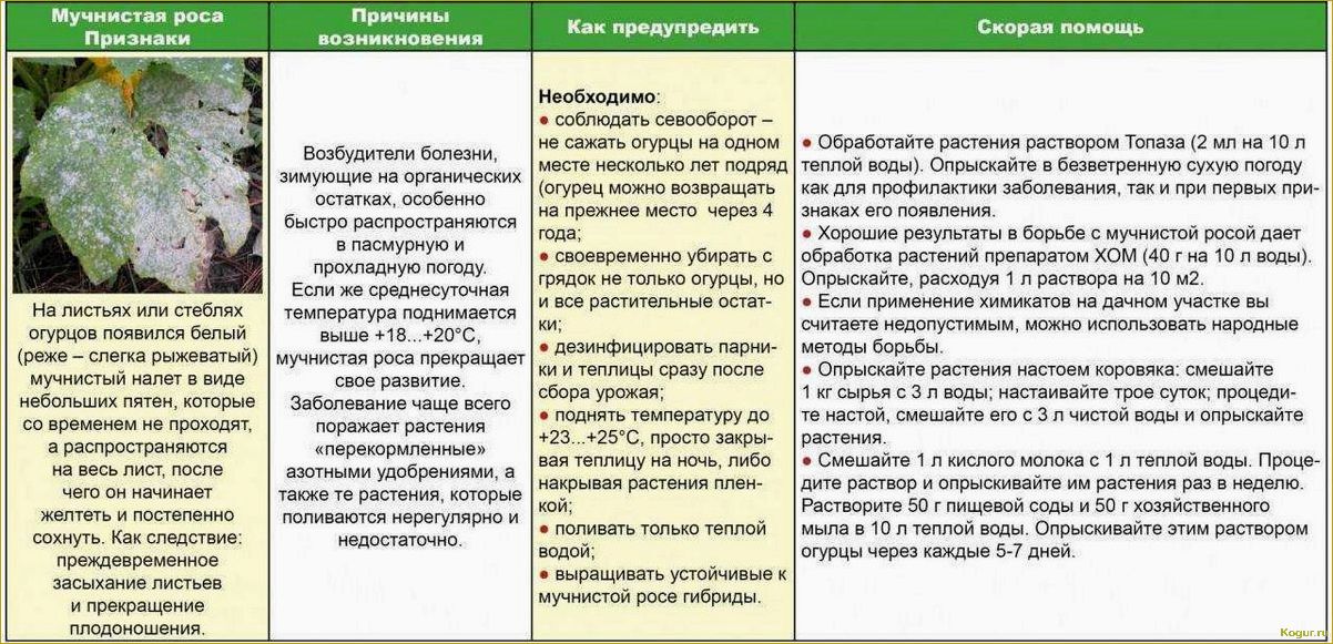 Анализ фотографий и описаний заболеваний и вредителей жимолости для углубленного изучения