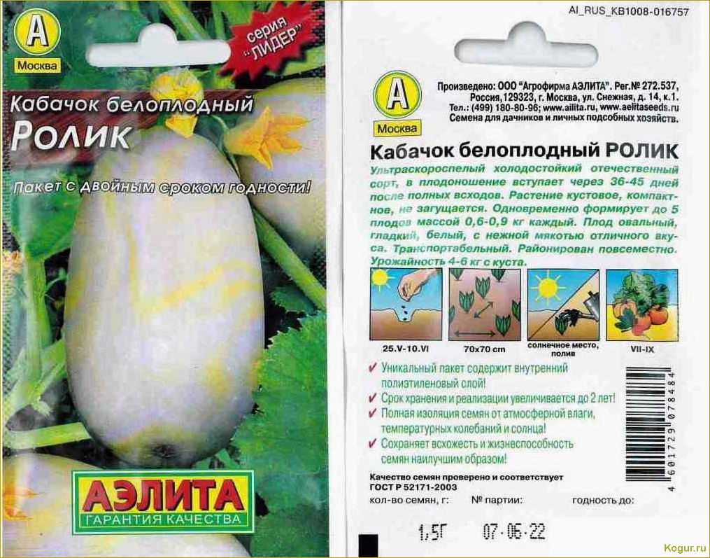 Выбор сортов кабачков для выращивания на Урале и в Сибири
