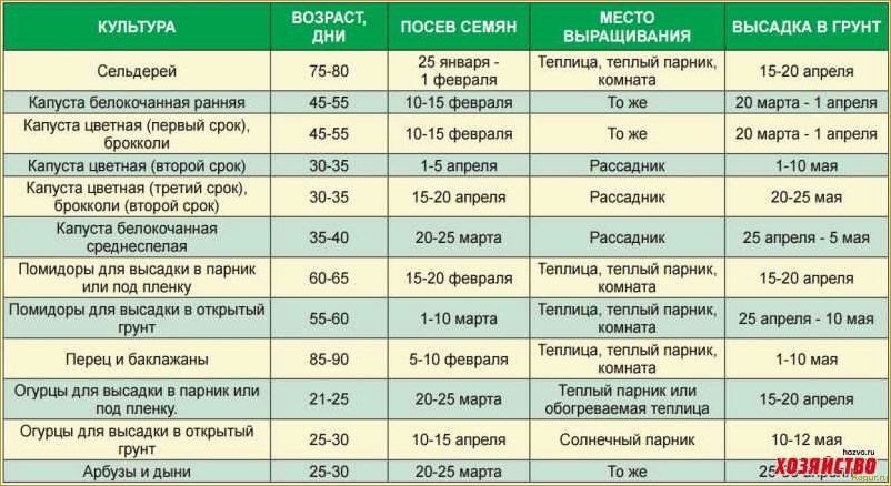 Какую рассаду сажают дачники Урала и Подмосковья в феврале?