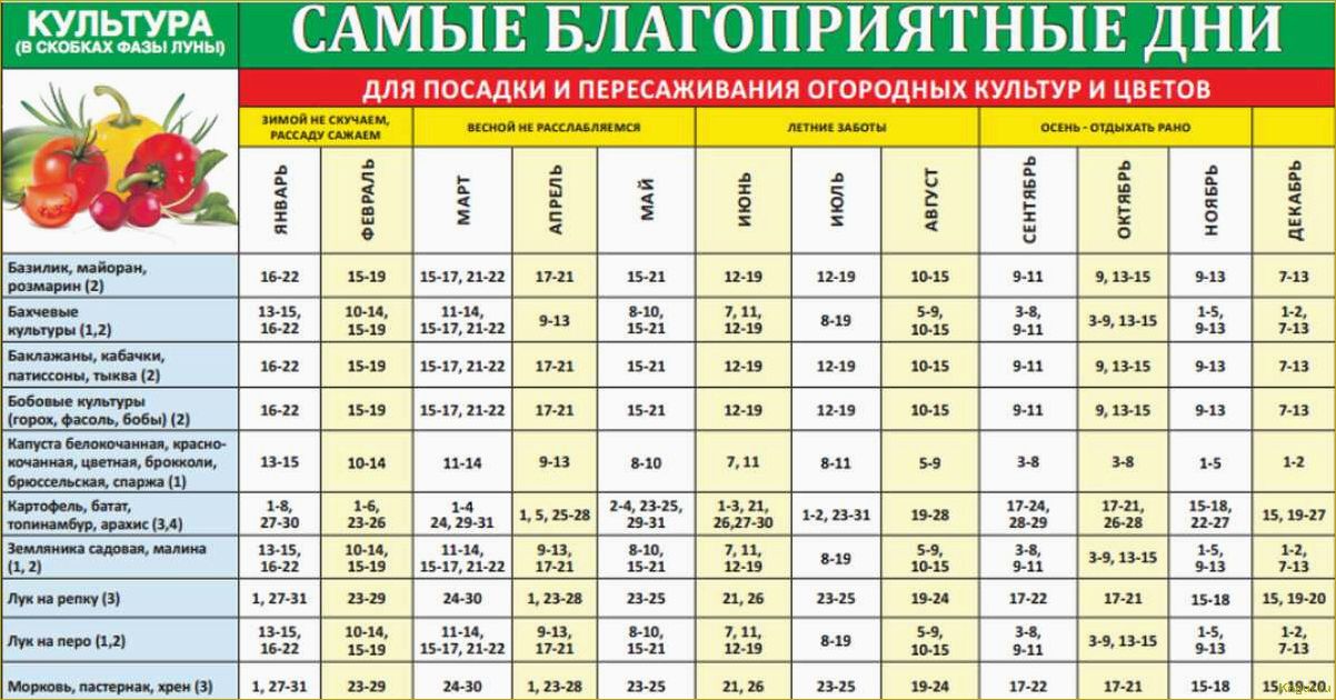 Какую рассаду сажают дачники Урала и Подмосковья в феврале?