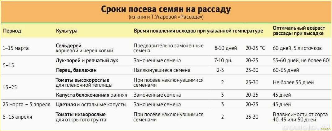 Какую рассаду сажают дачники Урала и Подмосковья в феврале?