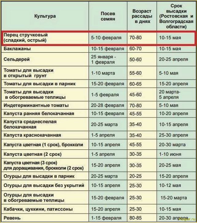 Какую рассаду сажают дачники Урала и Подмосковья в феврале?