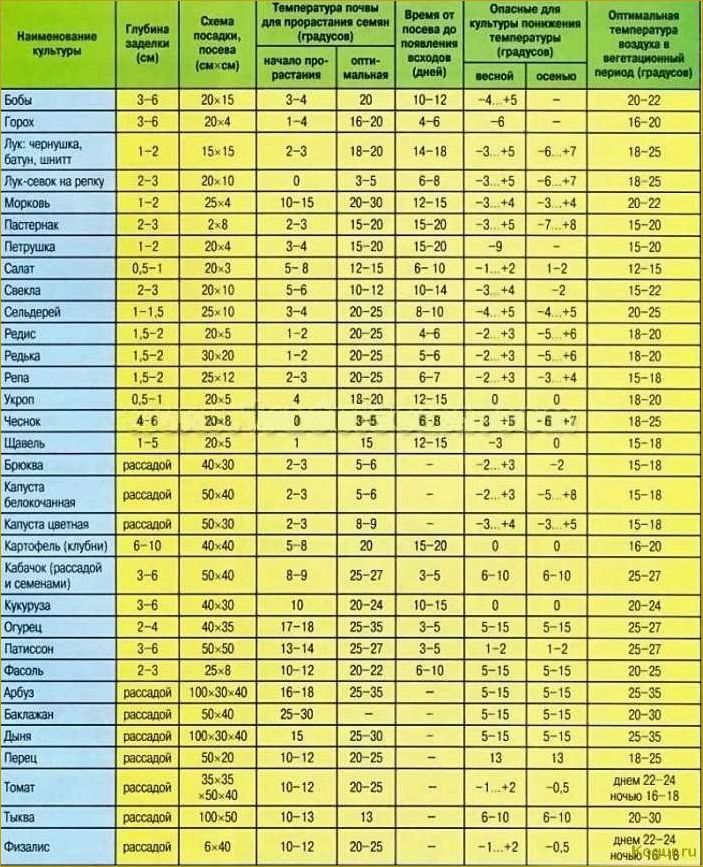 Какую рассаду сажают дачники Урала и Подмосковья в феврале?