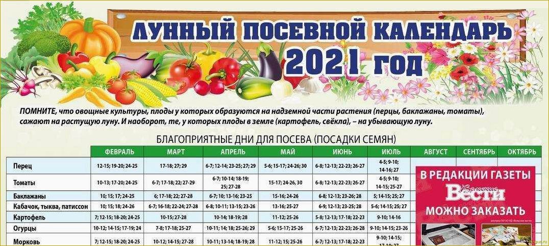 Какую рассаду сажают дачники Урала и Подмосковья в феврале?