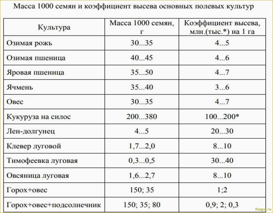 Полный цикл технологии выращивания гречихи: от посева до сбора урожая.