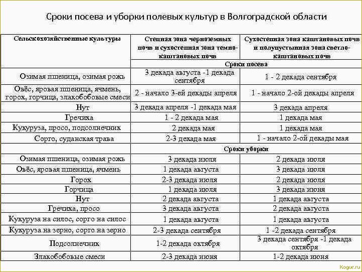 Полный цикл технологии выращивания гречихи: от посева до сбора урожая.