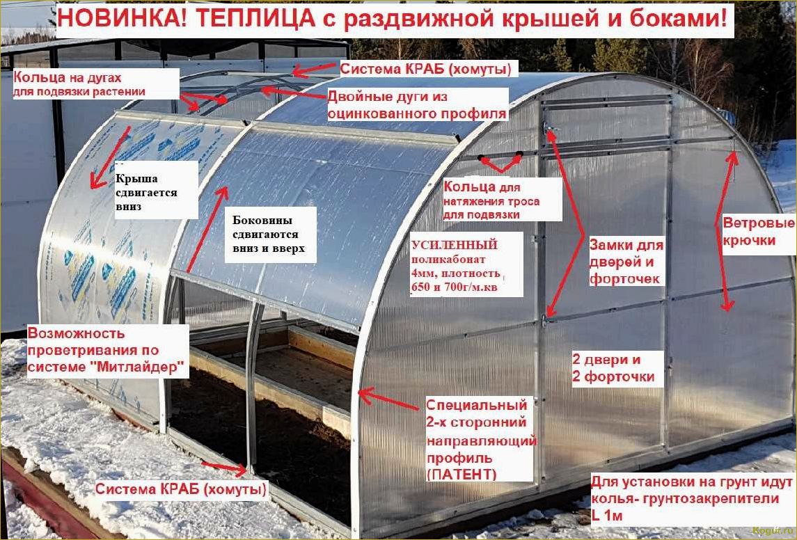 Теплица с открывающейся крышей: виды и конструкции, самостоятельная установка