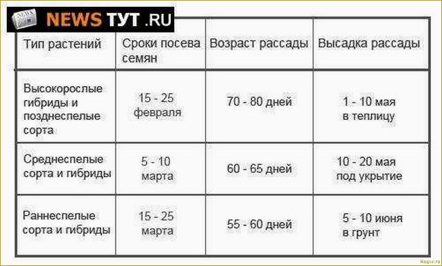 Как выращивать томаты сорта Джина в открытом грунте и в теплице: полезные советы и рекомендации