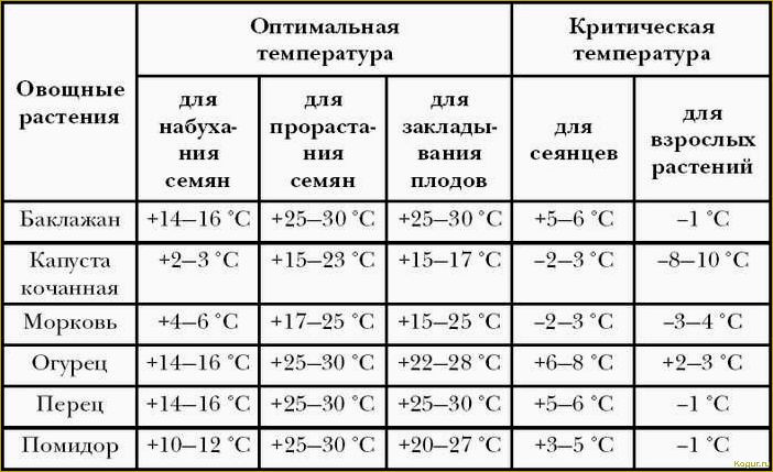 Как выращивать томаты сорта Джина в открытом грунте и в теплице: полезные советы и рекомендации