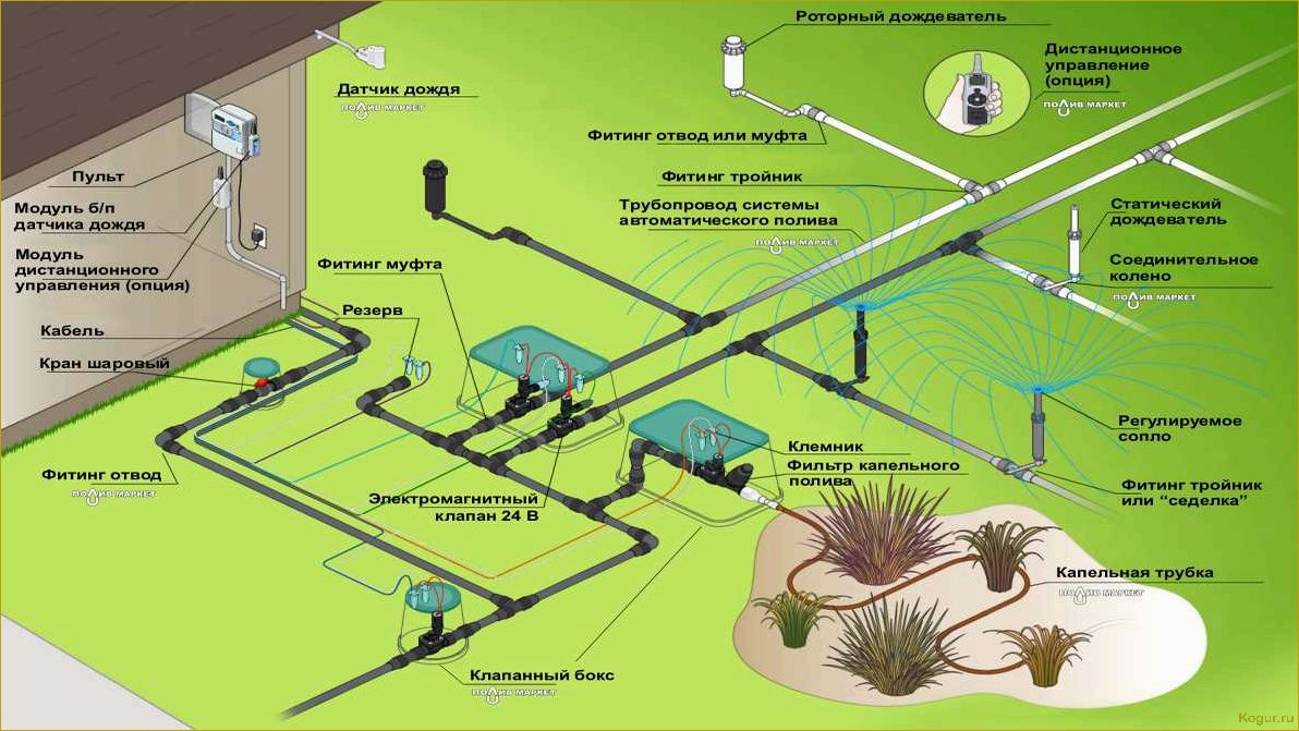 Автоматический полив огорода — необходимость для садоводов