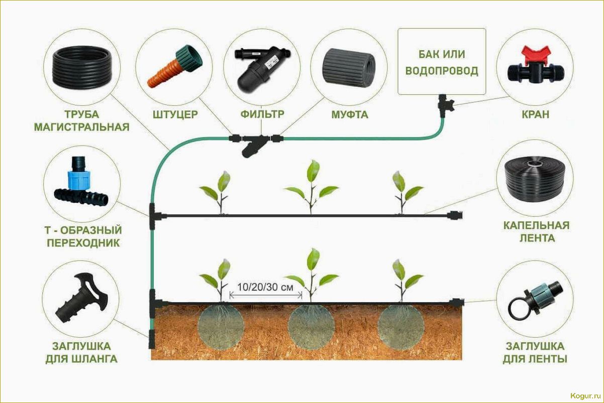 Как организовать полив огорода своими руками?