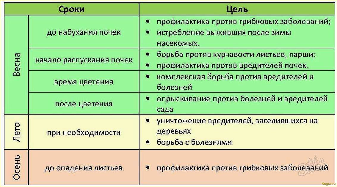 Ненасытные вредители персика: как бороться с ними и выиграть войну