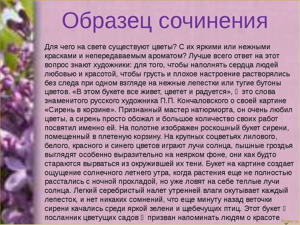 Почему не цветет сирень — выясняем причины проблемы