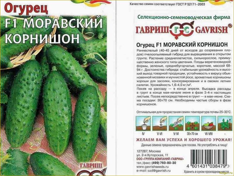 Сорта огурцов для засолки и консервирования: лучшие рекомендации