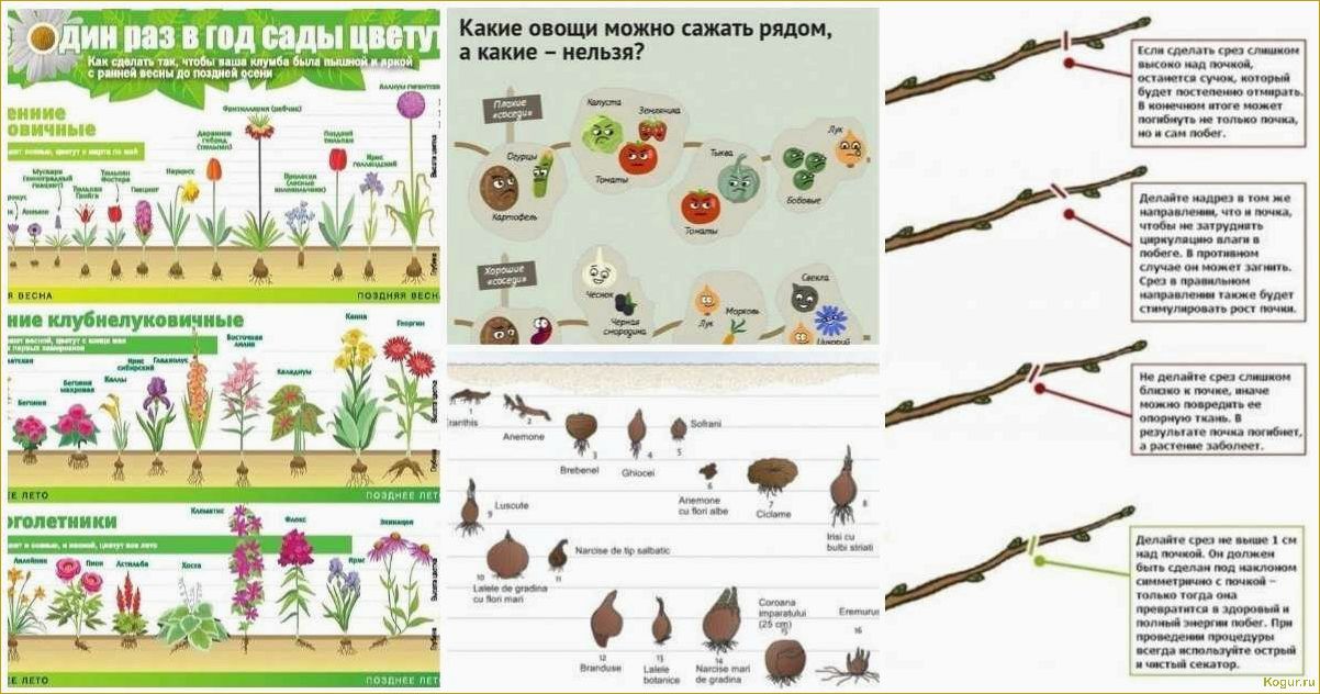 Что делать на даче в марте: советы для дачника