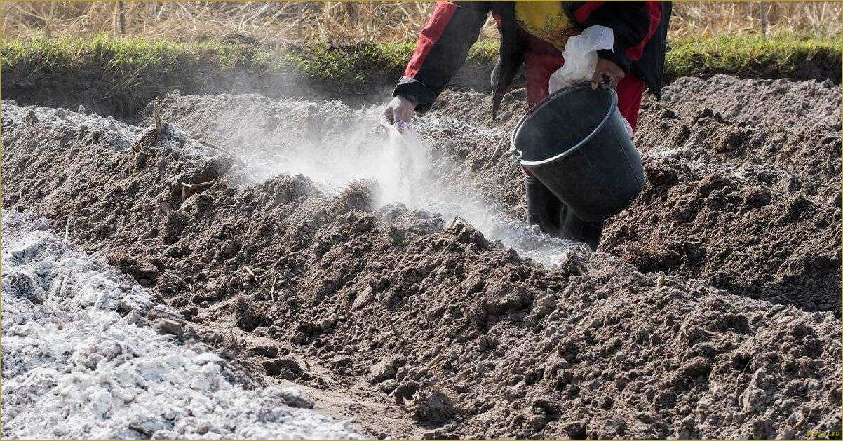 Известкование почвы на грядках и в саду: цели и методы